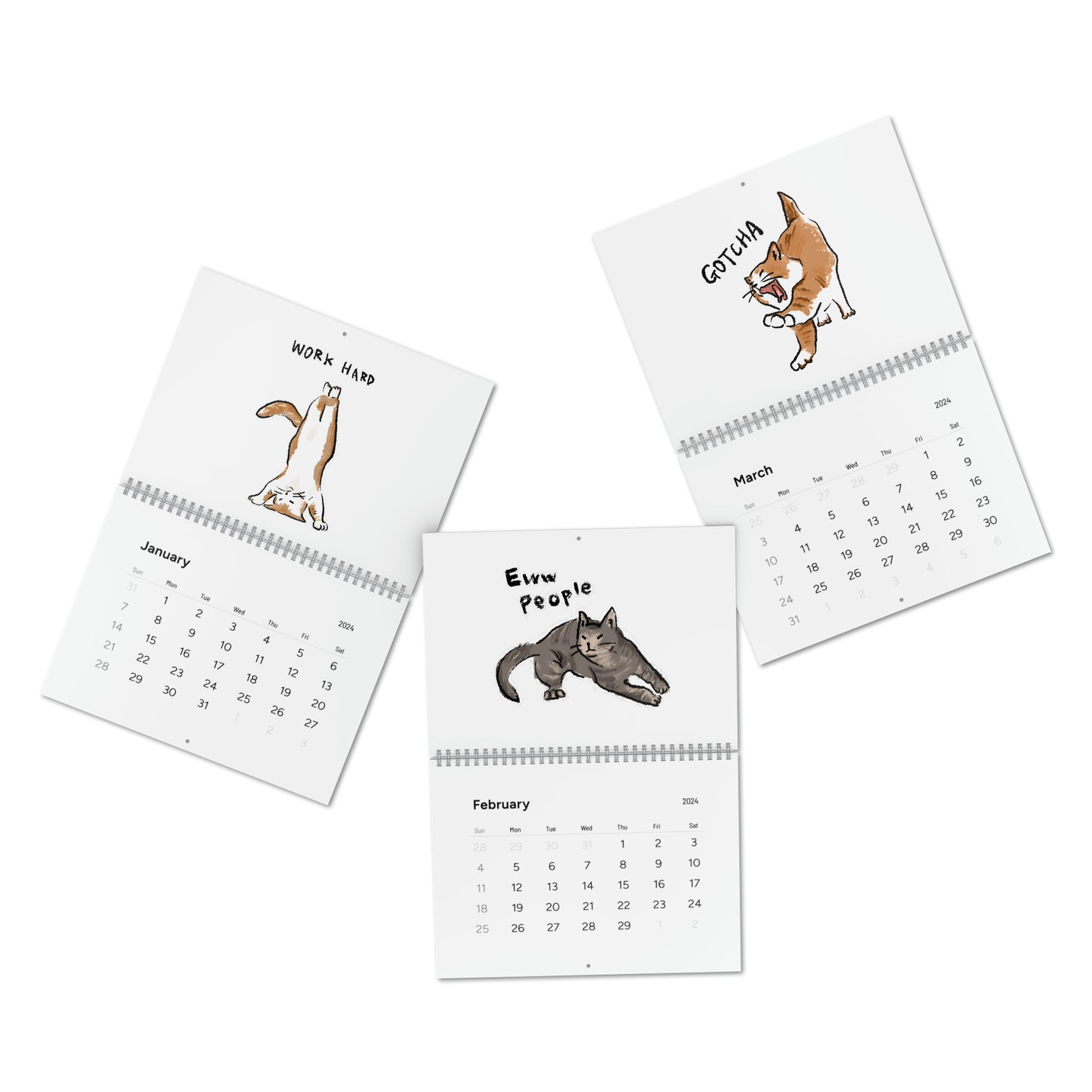 Funny Cat Meme Standard Wall Calendar (2024)