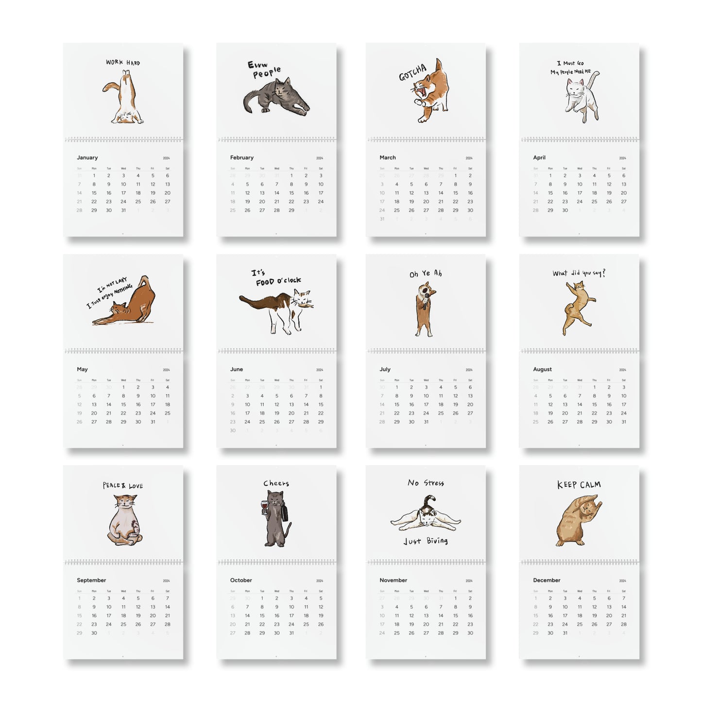 Funny Cat Meme Standard Wall Calendar (2024)